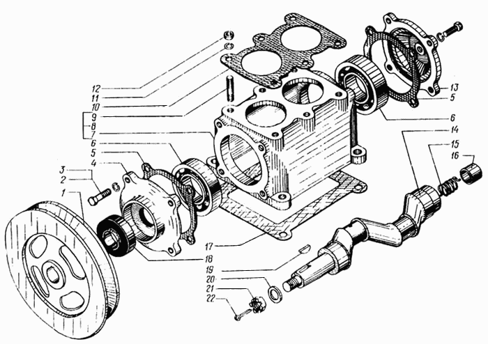 Compressor case and crankshaft